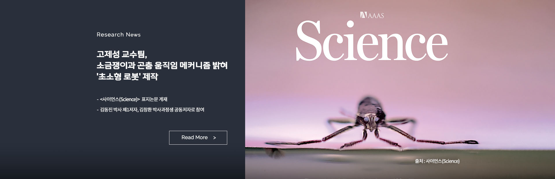 고제성 교수팀, 소금쟁이과 곤충 움직임 메커니즘 밝혀 '초소형 로봇' 제작